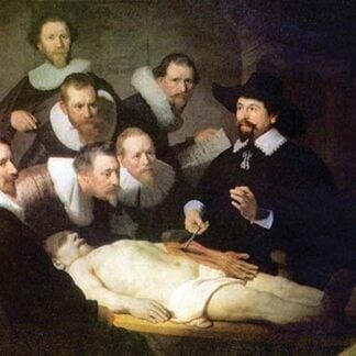 The Anatomy Lesson of Dr. Nicholaes Tulp by Rembrandt Van Rijn