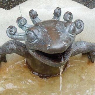 The Anole by Jason Pierce