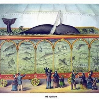 The Aquarium by Gibson & Co.