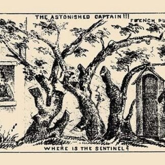 The Astonishing Captain!!! Where is the Sentinel? by Theo Leonhardt & Son