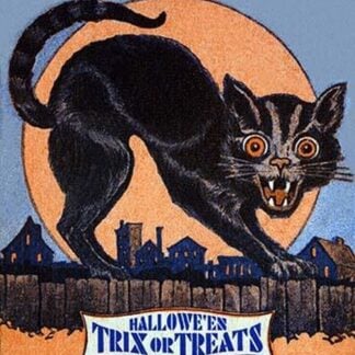 The Black Cat by Rosen Company