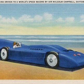 The Blue Bird 5 by Richard H. LeSesne