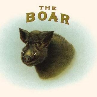 The Boar
