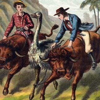 The Boys take Home the Ostrich by Johann David Wyss