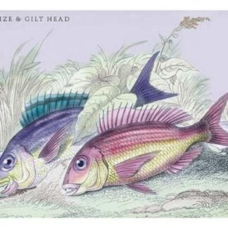 The Braize and the Gilt Head by Robert Hamilton