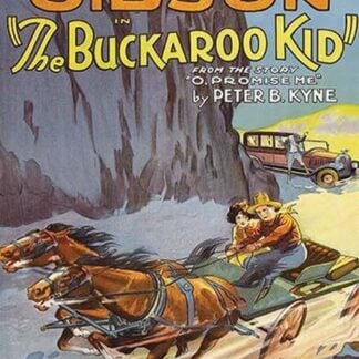The Buckaroo Kid #2