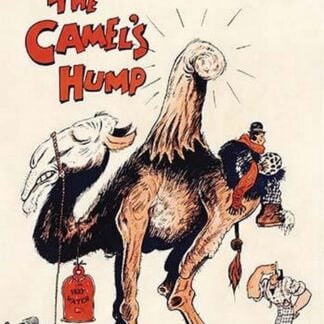 The Camel's Hump