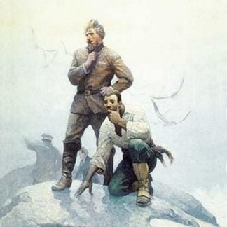 The Castaways Await by N.C. Wyeth