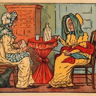 The Cat Has Lost Her Kitten. Find It