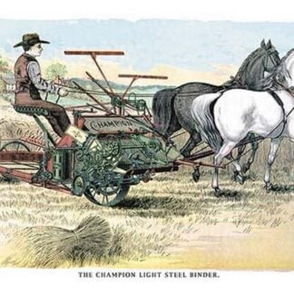 The Champion Light Steel Binder