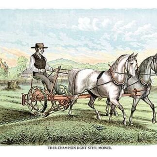 The Champion Light Steel Mower