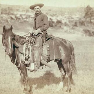 The Cow Boy by John C.H. Grabill