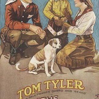 The Cowboy Musketeer #2