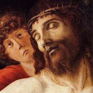 The Dead Christ Supported by an Angel by Giovanni Bellini