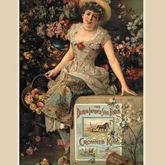 The Deering Improved Steel Binder