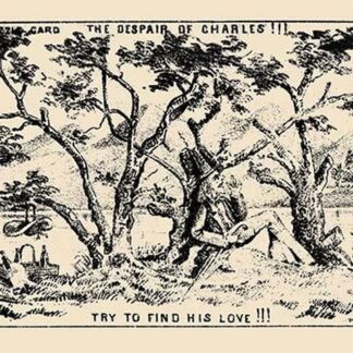 The Despair of Charles !!! Try to Find His Love !!! by Theo Leonhardt & Son