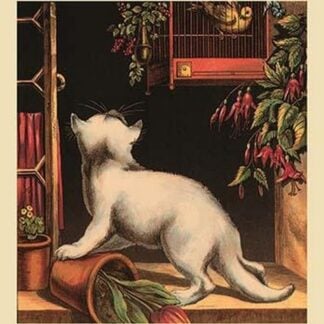 The Disappointed Kitten