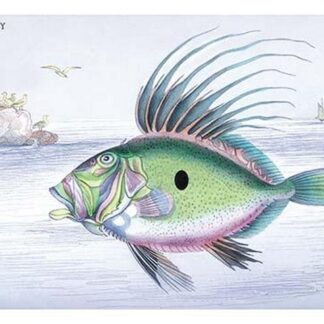 The Dory by Robert Hamilton