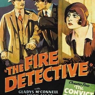 The Fire Detective