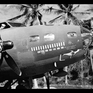 The Flying Fortress 'Goonie' by U.S. Army