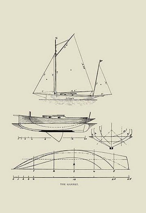 The Gannet by Charles P. Kunhardt