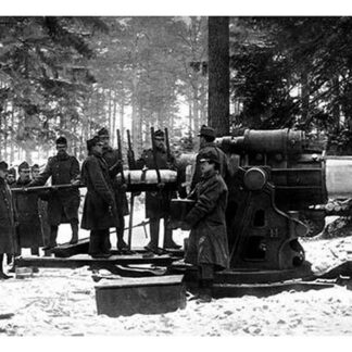 The Great Austrian Skoda Gun