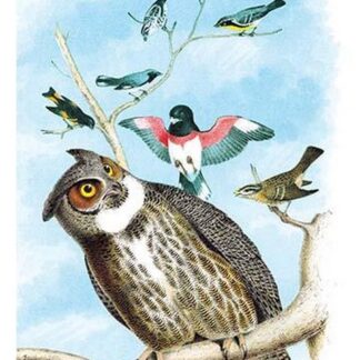 The Great Horned Owl by Theodore Jasper