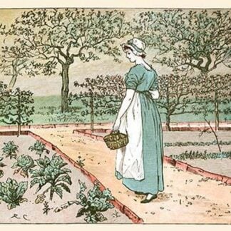 The Great Panjandrum Himself; A girl goes into the garden to cut a cabbage leaf to make an apple Pie by Randolph Caldecott