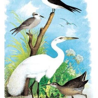 The Great White Egret (White Heron) by Theodore Jasper