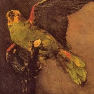 The Green Parrot by Vincent van Gogh