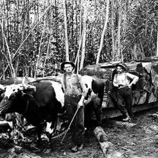 The Hard Way by Darius Kinsey