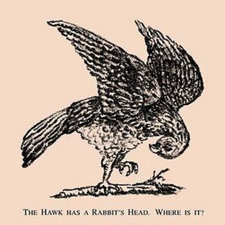 The Hawk Has a Rabbit's Head. Where is it? by American Puzzle Co.