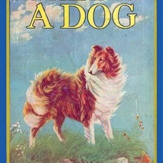 The Heart of a Dog by Albert Terhune