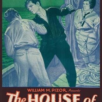 The House of Terror - Swirling Waters