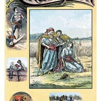 The Illustrated Champion