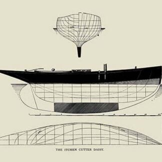 The Itcken Cutter Daisy by Charles P. Kunhardt