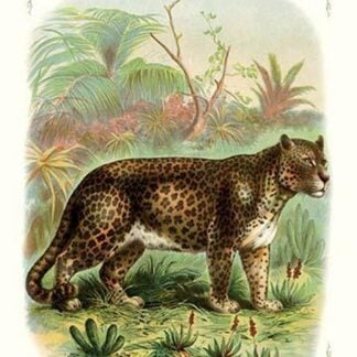The Leopard