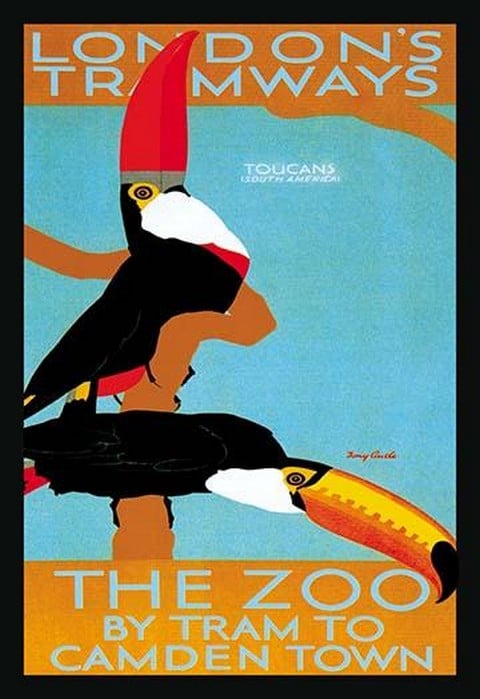 The London Zoo: South American Toucans by Tony Castle