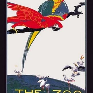 The London Zoo: The Macaw by Van Jones