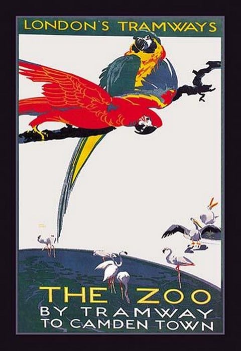 The London Zoo: The Macaw by Van Jones