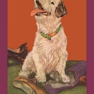 The Lost Slipper by Diana Thorne