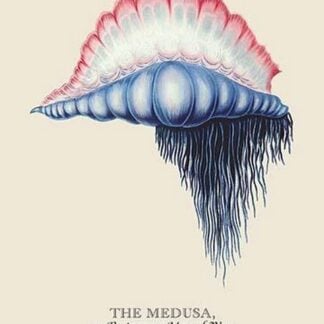 The Medusa