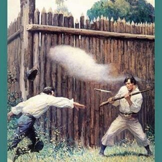 The Mysterious Island by N.C. Wyeth