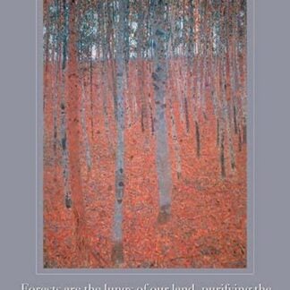 The Nation That Destroys Its Soil Destroys Itself by Franklin Roosevelt