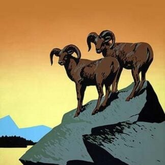 The National parks preserve wild life by J. Hirt