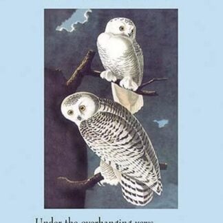 The Owls by Charles Baudelaire