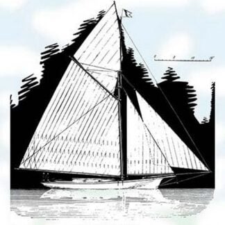 The Petrel by Charles P. Kunhardt