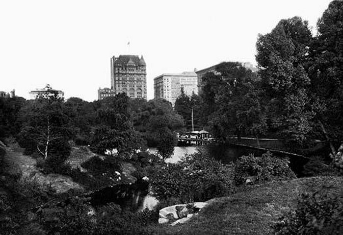 The Pond in Central Park