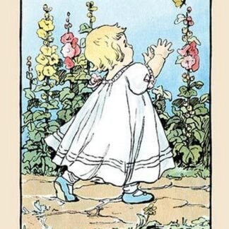 The Pretty Butterfly by Julia Dyar Hardy