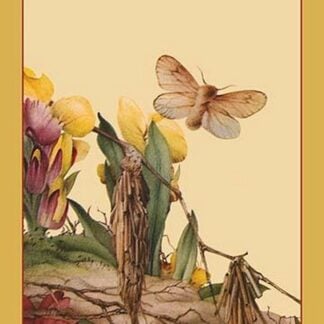 The Psyches by Edward Detmold